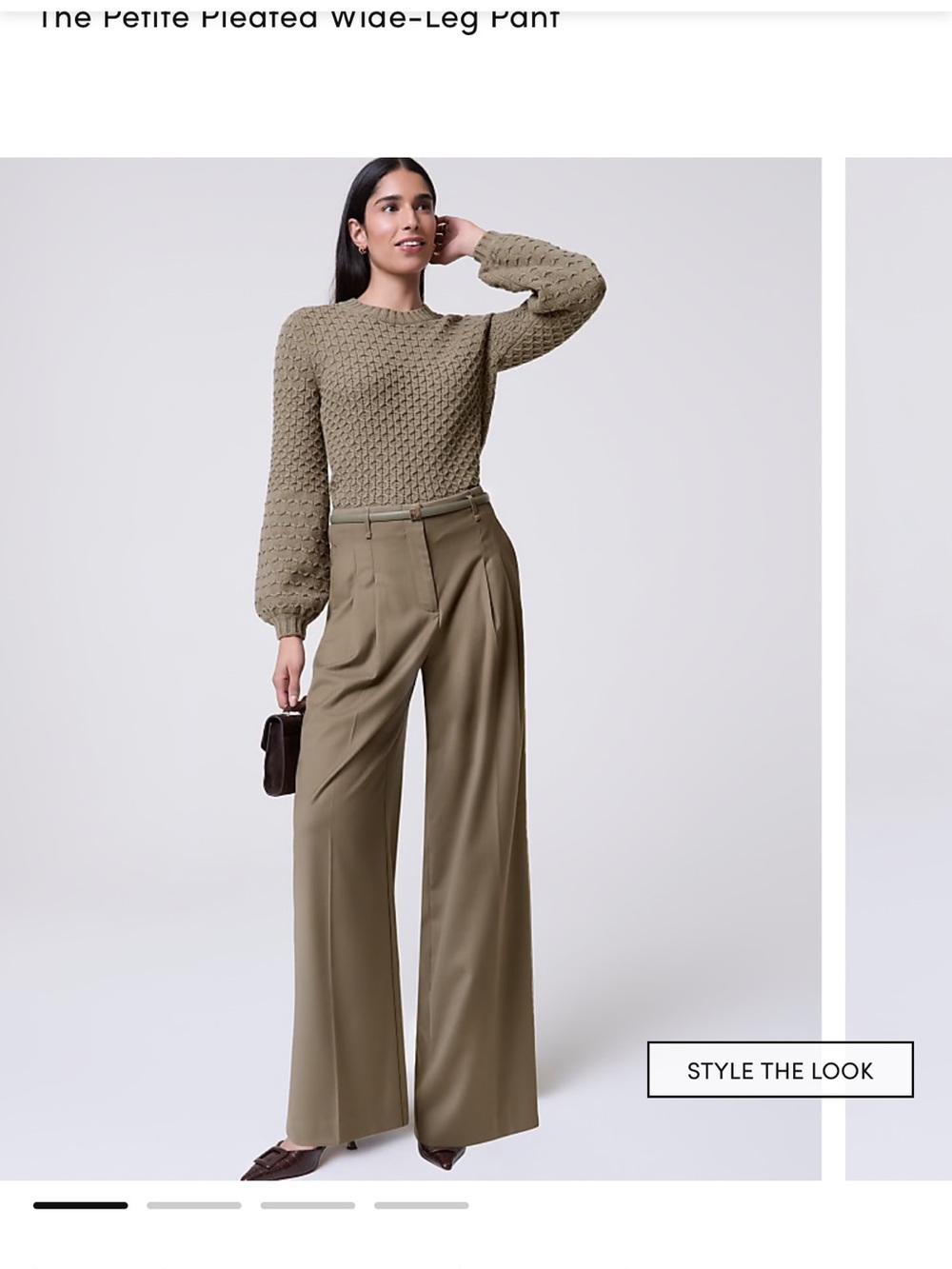 Ann Taylor petite pleated wide leg pants